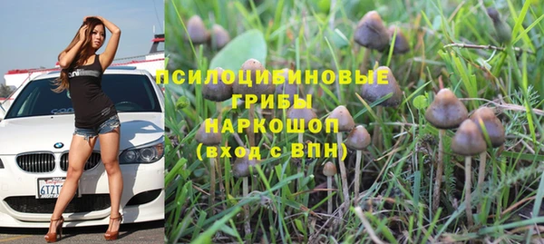 кокаин Алексеевка