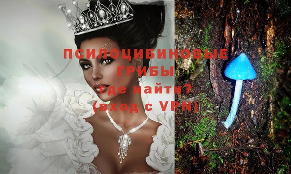 не бодяженный Алзамай
