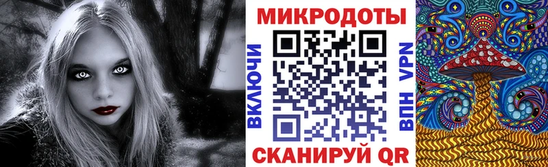 Псилоцибиновые грибы Cubensis продажа наркотиков МЕГА tor Венёв